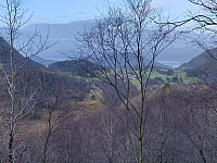 Utsikt mot Gjesteland og Høgsfjorden.