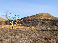 Nordre Stølafjellet sett fra Stølstjørna.
