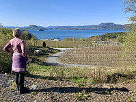 Utsikt litt under toppen mot Halsnøy og Randøy. 