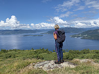 Utsikt mot Nedstrand, Foldøy, Hebnes, Grytenuten og Jelsa.
