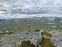 Utsikt fra toppen mot sørvest. Vi ser Svartevassmagasinet med Fitjaknuten og Lysekmmen bak til venstre. Steinheii i midtre og høyre del av bildet.
