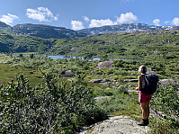 Ved Dokkavatnet begynner Skaulen å nærme seg.