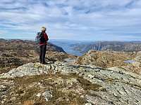 Utsikt mot Høgsfjorden fra toppen.
