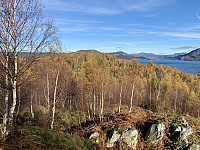 Utsikt mot toppen fra høyden på 48 m.