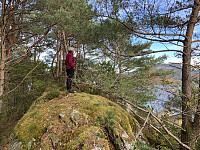 Toppryggen med litt utsikt til Randøy.