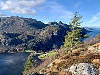 Utsikt mot Oltesvik Gard, mot Bynuten og mot Selvikstakken.