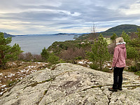 Utsikt utover Høgsfjorden med Idse sentralt i bildet.