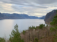 Utsikt innover Høgsfjorden.