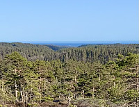 Litt utsikt mot havet og Torungen.