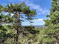 Utsikt mot nord mot fjellene i Ljoslandsheia.