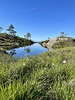 Lite tjern i lia øst for toppen.