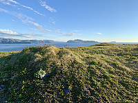 Denne tua er toppen av Tarhalsen. Vi ser Kamøyene i bakgrunnen.