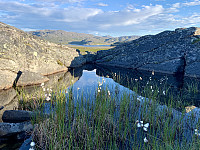 Liten dam på fjellet. Tyven ser vi i bakgrunnen.