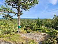 Mye skog. Småheier i horisonten.