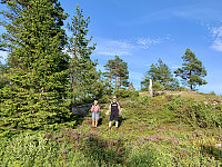Fin topp.