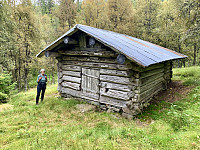 Gjuv.