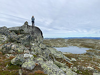 Fin topp.