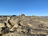 Toppområdet.