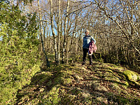 Toppen i skogen med bolt etter trig-punkt.