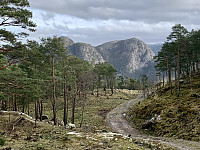 Utsikt mot Helgaknuten og Steinsvigfjellet.