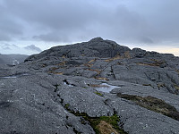Toppområdet sett fra nord.