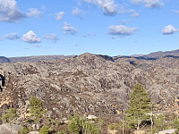 Blåfjellet sett fra bakkene opp mot Dyrstølheia.