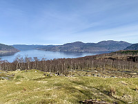 Utsikt fra Høgehaug mot Hjelmelandsfjorden.