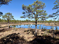 Dølestøtjørna på den flate heia på toppen av fjellet.