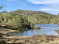 Øykjaheia sett fra Krossvatnet.