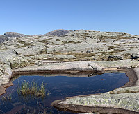 Toppområdet.