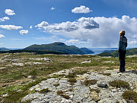 Fra toppen ser vi Gunlanuten i vest.