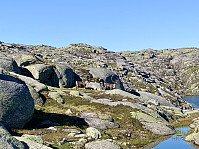 To reinsdyr like ved Reinsstølheia.