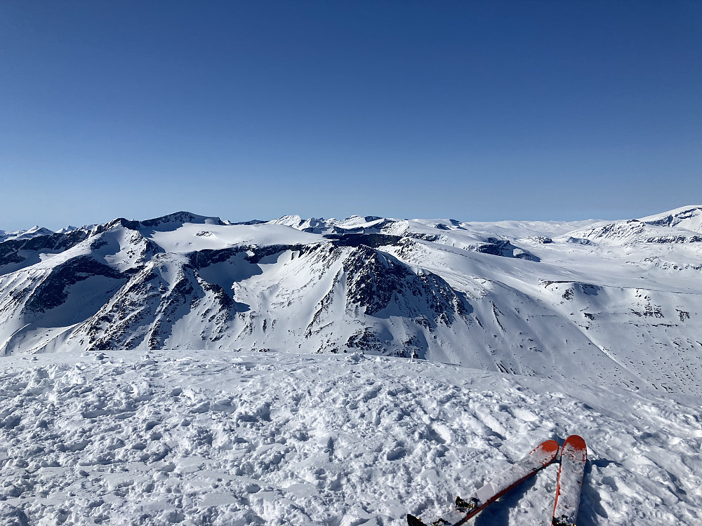 Helt skyfri utsikt til blant annet Storebjørn, Surtningssue, Memurutinen, Galdhøpiggen, Leirhøe, og Glittertinden helt i bildekant til høyre.