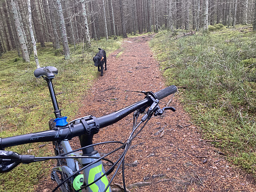 Kimi er som vanlig med