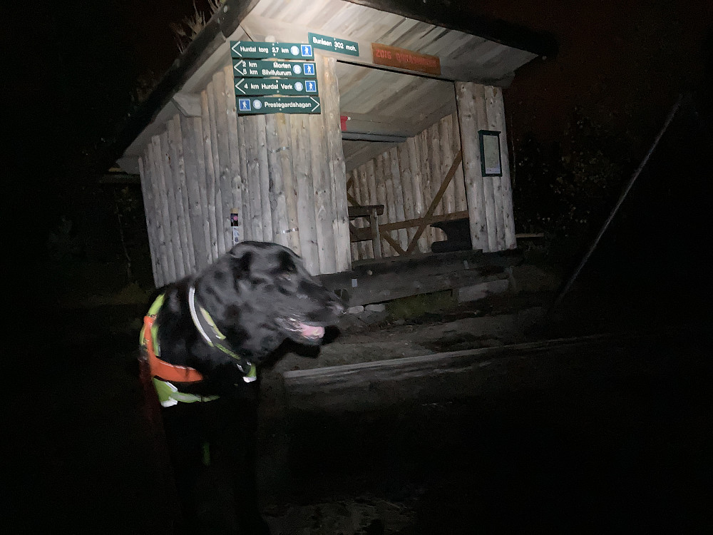Gapahuk på Buråsen