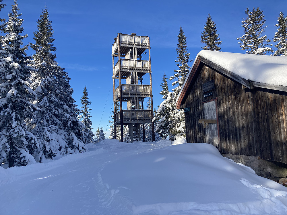 Lushaugtårnet