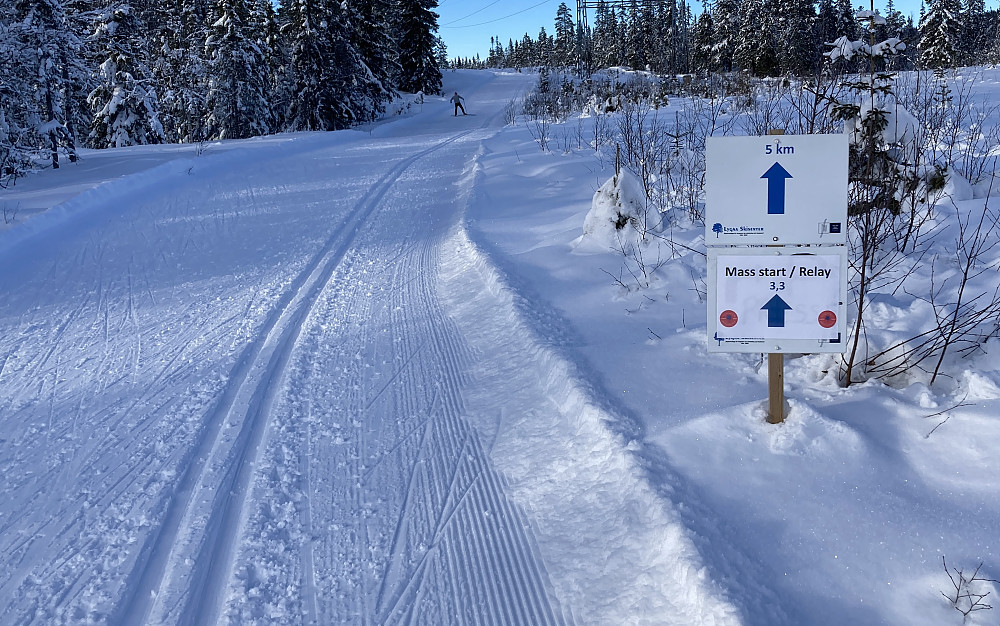 Junior og U23 VM på ski på Lygna