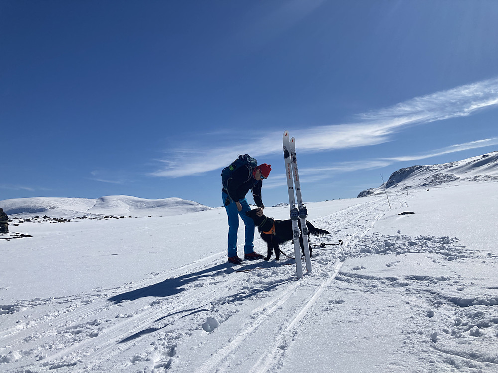 Knallfint på fjellet