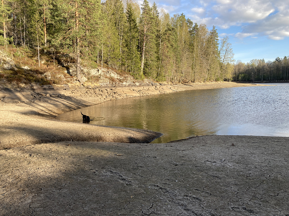 Området som normalt skiller fastlandet og øya 