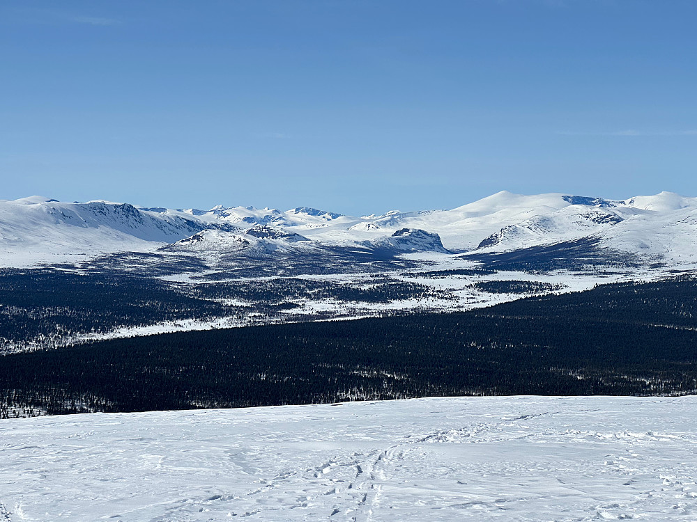 Jotunheimen fra Skardfjellet