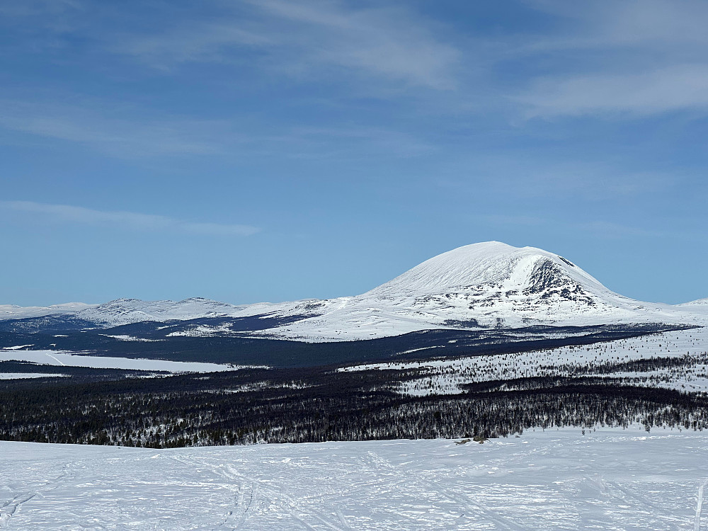 Fjellet over alle fjell; Heidalsmuen