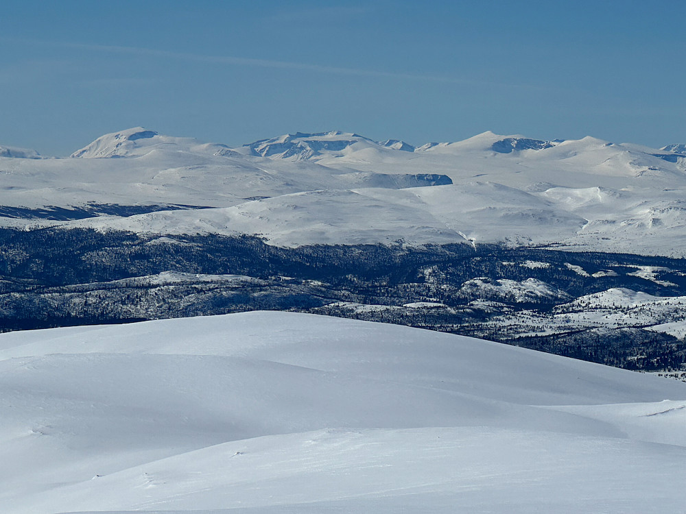 Utsikt mot Jotunheimen