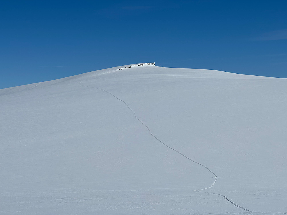 Tilbakeblikk mot Skjerrelfjellet og mine spor på vei over mot Skjerrelhøa.