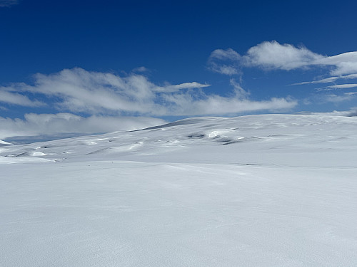 Mjølrakkhaugan og Steinbudalshøa i bakgrunnen