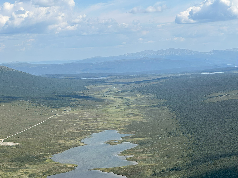 Griningsdalen