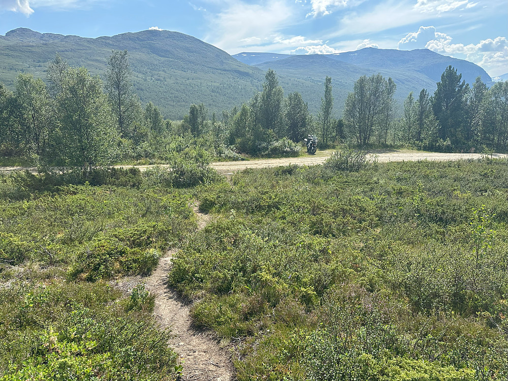 Tilbake til start