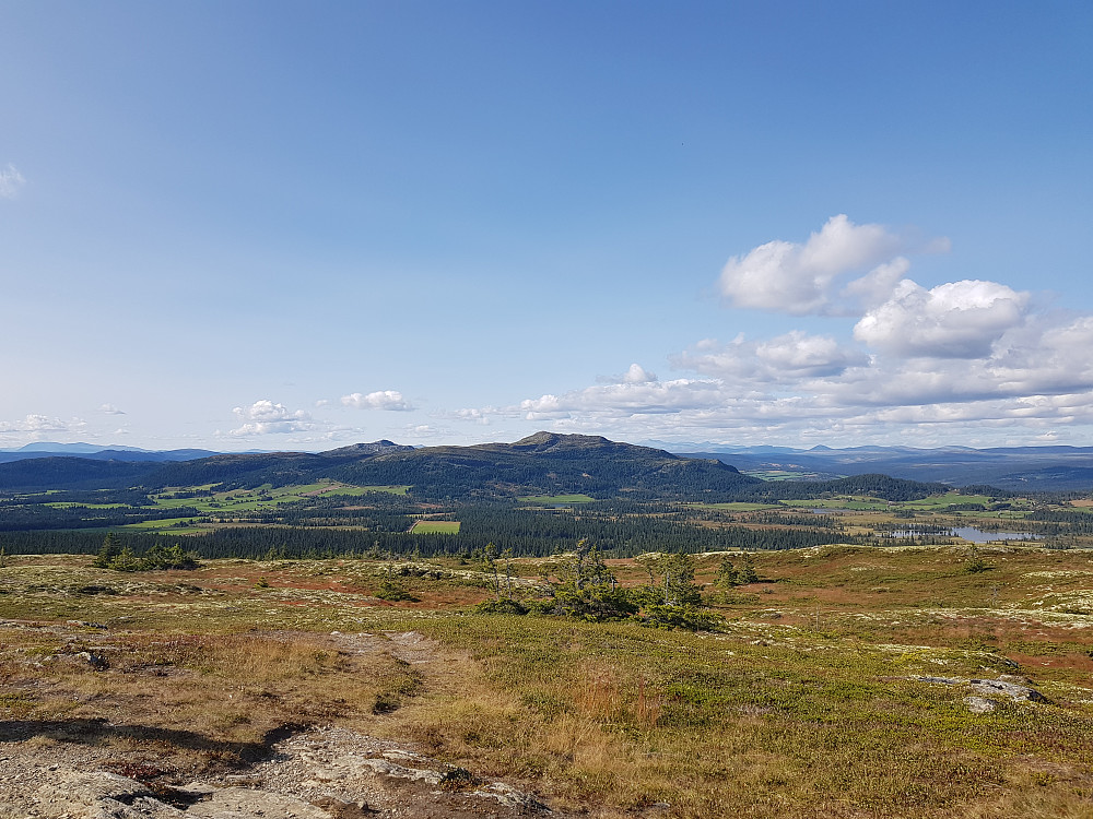 Flott utsikt fra Rokfjellet
