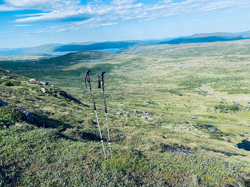 Ser tilbake mot myra og Skjækervatnet et stykke før Hattjønna.