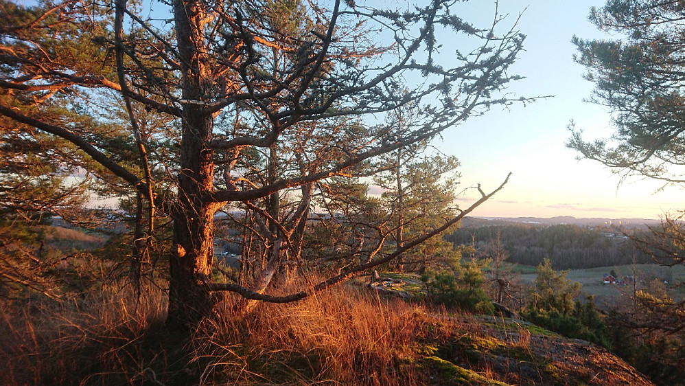 Utsikt fra Storåasen