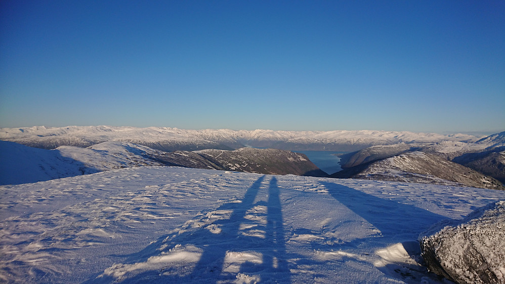 Utsikt mot Sognefjorden